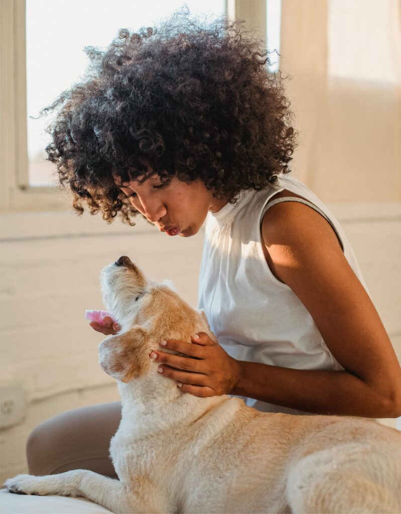 Animal reiki Mississippi distance reiki for pets animal communication
